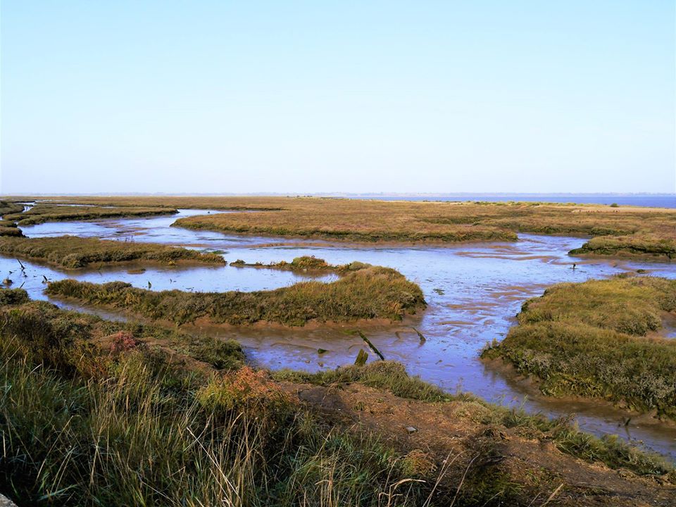 Literary Essex � 3 Essex Coast Walks To Send Your Imagination�Wild